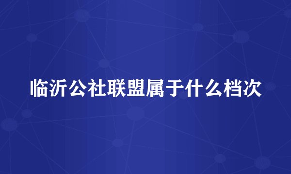 临沂公社联盟属于什么档次