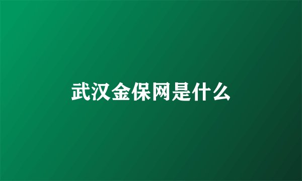 武汉金保网是什么