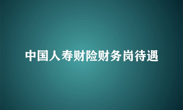 中国人寿财险财务岗待遇