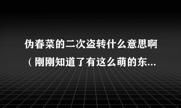 伪春菜的二次盗转什么意思啊（刚刚知道了有这么萌的东西O(∩_∩)O）