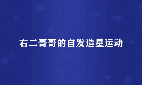 右二哥哥的自发造星运动