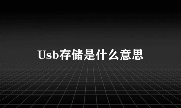 Usb存储是什么意思