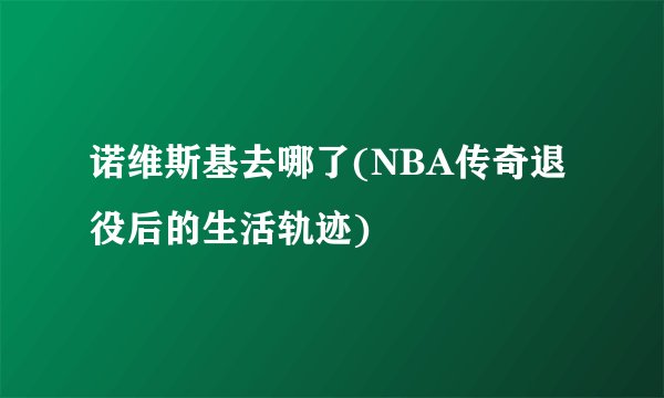 诺维斯基去哪了(NBA传奇退役后的生活轨迹)