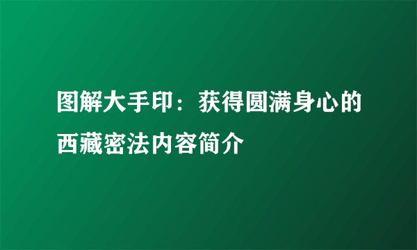 图解大手印:获得圆满身心的西藏密法内容简介