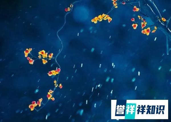 识人：身上有这5个特点的人，城府不浅