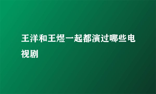 王洋和王煜一起都演过哪些电视剧