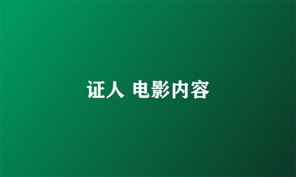 证人 电影内容