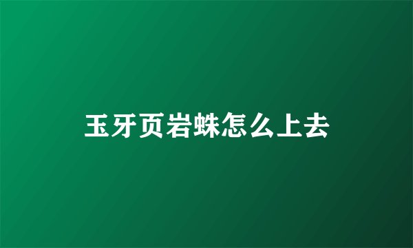 玉牙页岩蛛怎么上去