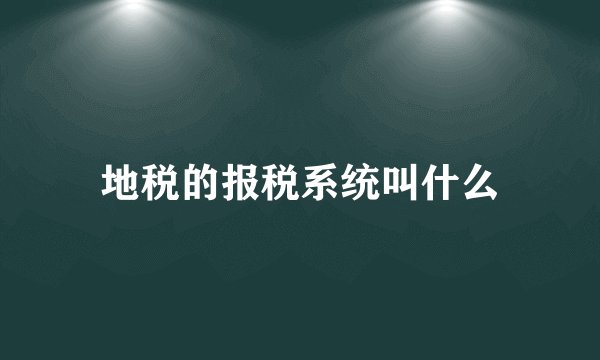 地税的报税系统叫什么