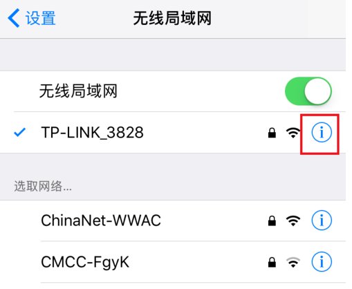 苹果5怎么改wifi的dns?