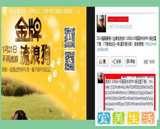 下载电影用什么软件好