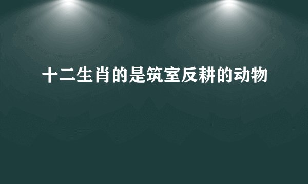 十二生肖的是筑室反耕的动物