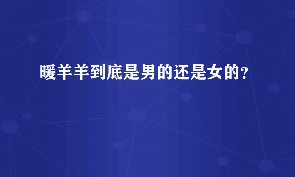 暖羊羊到底是男的还是女的?