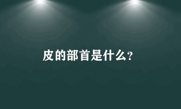 皮的部首是什么？