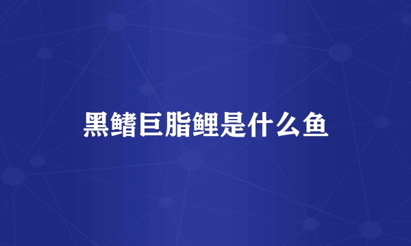 黑鳍巨脂鲤是什么鱼