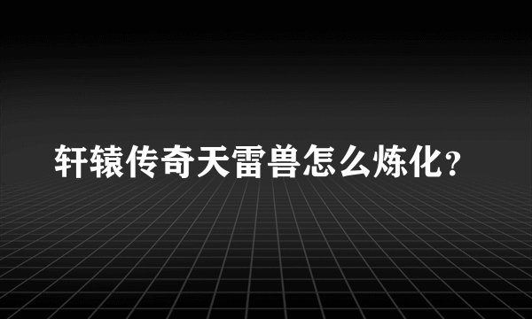 轩辕传奇天雷兽怎么炼化？