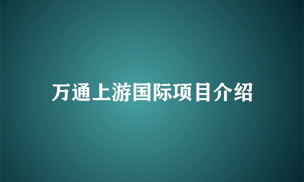 万通上游国际项目介绍