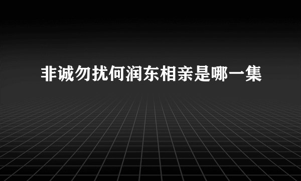 非诚勿扰何润东相亲是哪一集