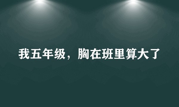 我五年级，胸在班里算大了