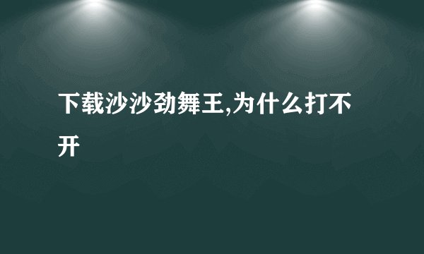 下载沙沙劲舞王,为什么打不开