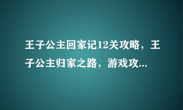 王子公主回家记12关攻略，王子公主归家之路，游戏攻略全解析