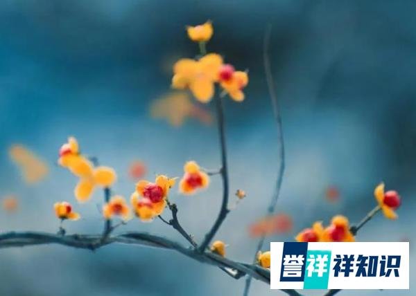 识人：身上有这5个特点的人，城府不浅