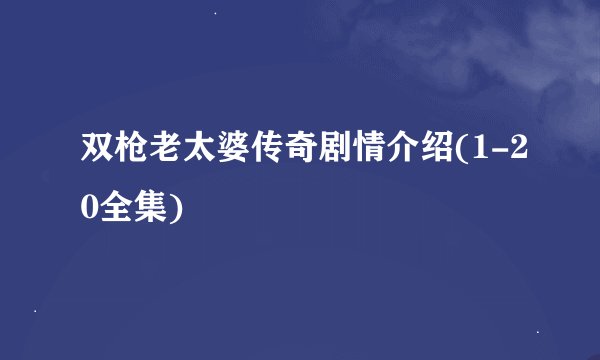 双枪老太婆传奇剧情介绍(1-20全集)