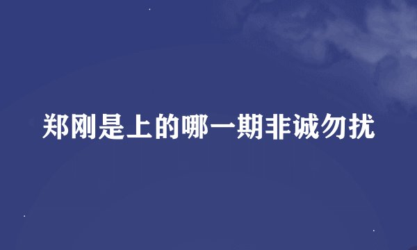 郑刚是上的哪一期非诚勿扰