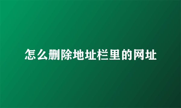 怎么删除地址栏里的网址