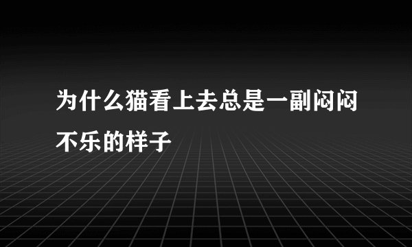 为什么猫看上去总是一副闷闷不乐的样子
