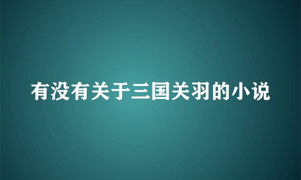 有没有关于三国关羽的小说