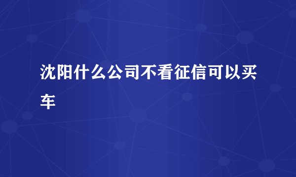 沈阳什么公司不看征信可以买车