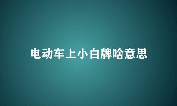 电动车上小白牌啥意思