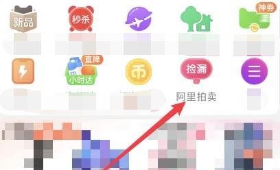 淘宝法拍房怎么查看