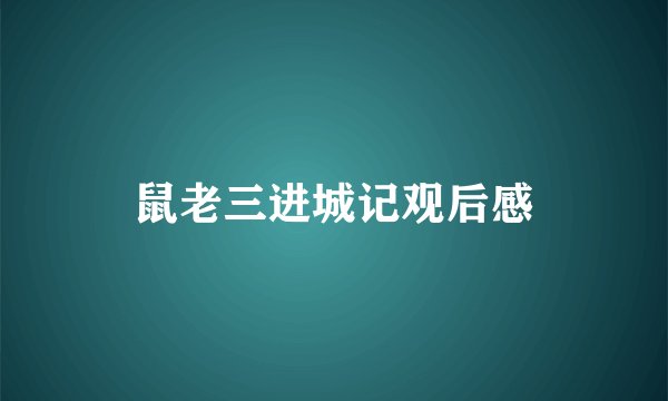 鼠老三进城记观后感