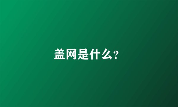 盖网是什么？