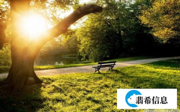 让灵魂在阳光下起舞