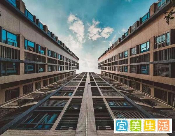 15张普通人拍出来的好照片:最后一张能拍到,运气实在是太好了