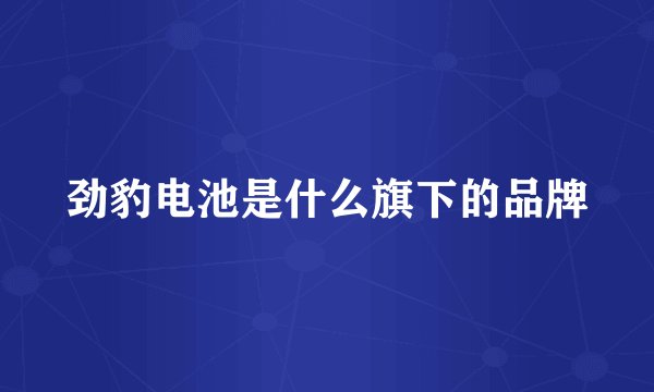 劲豹电池是什么旗下的品牌
