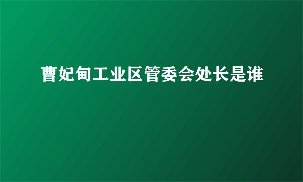 曹妃甸工业区管委会处长是谁
