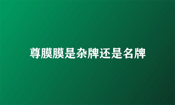 尊膜膜是杂牌还是名牌