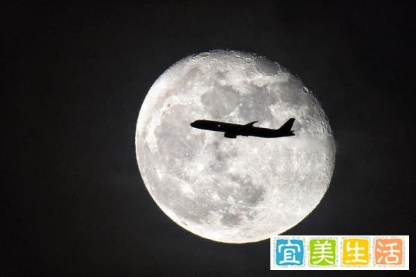 15张普通人拍出来的好照片:最后一张能拍到,运气实在是太好了