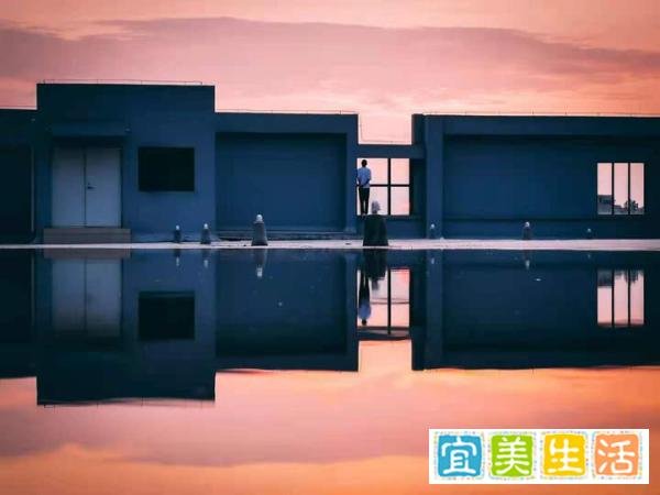 15张普通人拍出来的好照片:最后一张能拍到,运气实在是太好了
