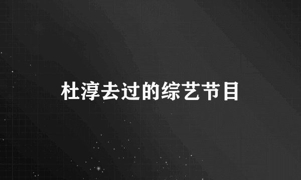 杜淳去过的综艺节目