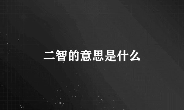 二智的意思是什么
