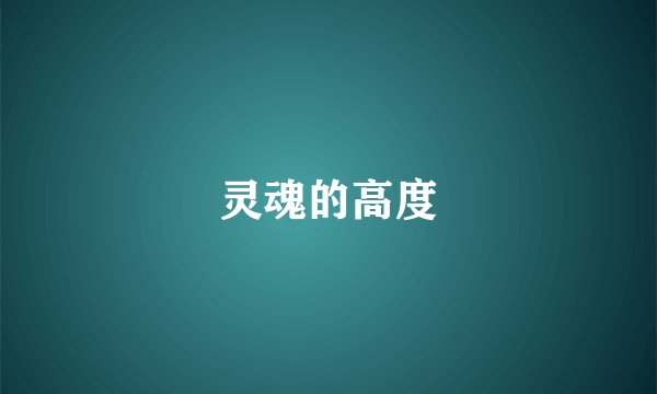 灵魂的高度
