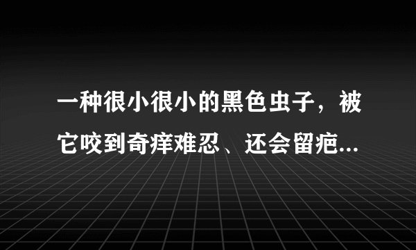 一种很小很小的黑色虫子，被它咬到奇痒难忍、还会留疤。那是什么东西？被咬后怎么减轻痛苦啊？