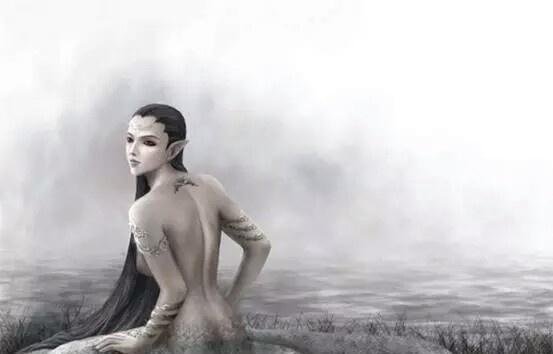 山海经.白矖（xǐ）