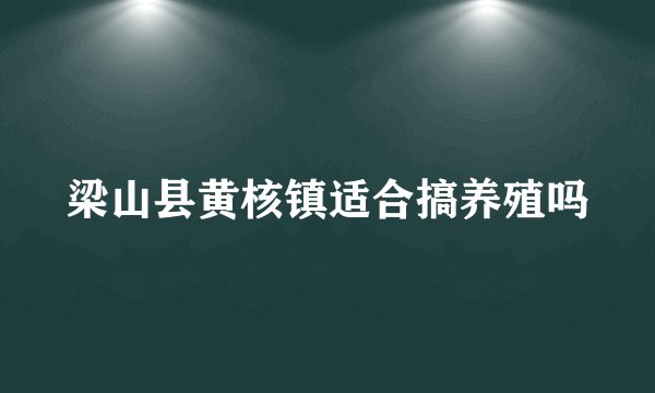 梁山县黄核镇适合搞养殖吗