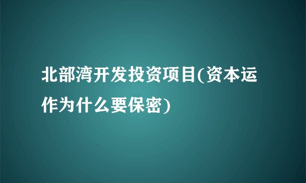 北部湾开发投资项目(资本运作为什么要保密)